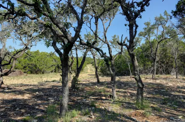 Blanco, TX 78606,TRACT 3 Pierson Road