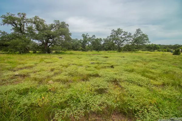 000 Short Draw Ranch, Spring Branch, TX 78070