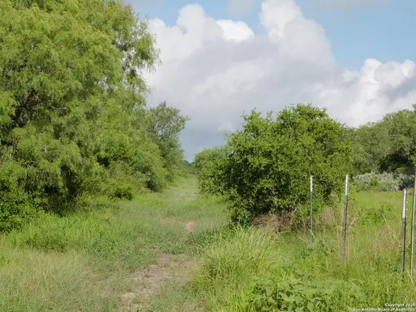 Hobson, TX 78117,TRACT 8 CR 208