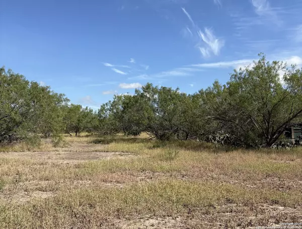 Charlotte, TX 78011,385 County Road 334