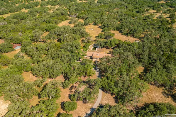 Bulverde, TX 78163,5779 ammann