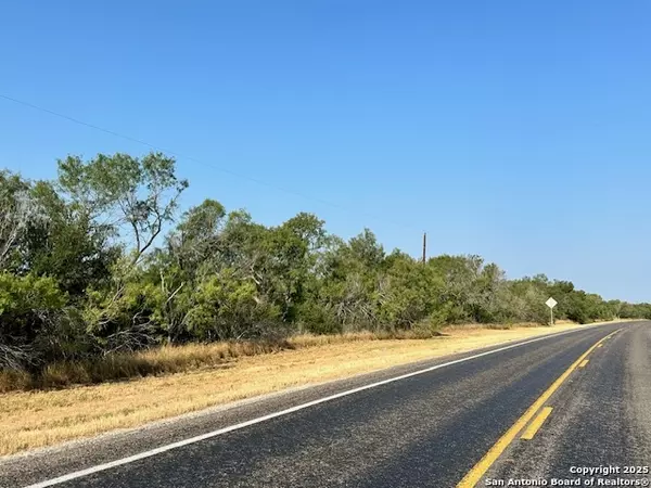 Christine, TX 78012,TBD FM 140