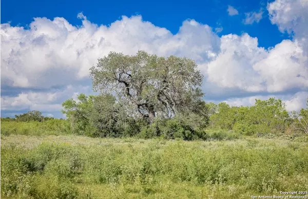 San Antonio, TX 78223,10454 Foster Rd