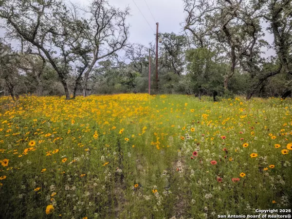 TBD County Road 6813, Natalia, TX 78059