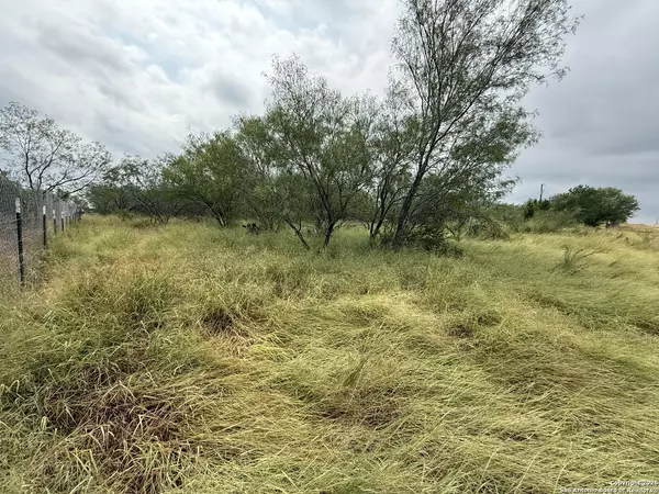 Devine, TX 78016,131 County Road 2666