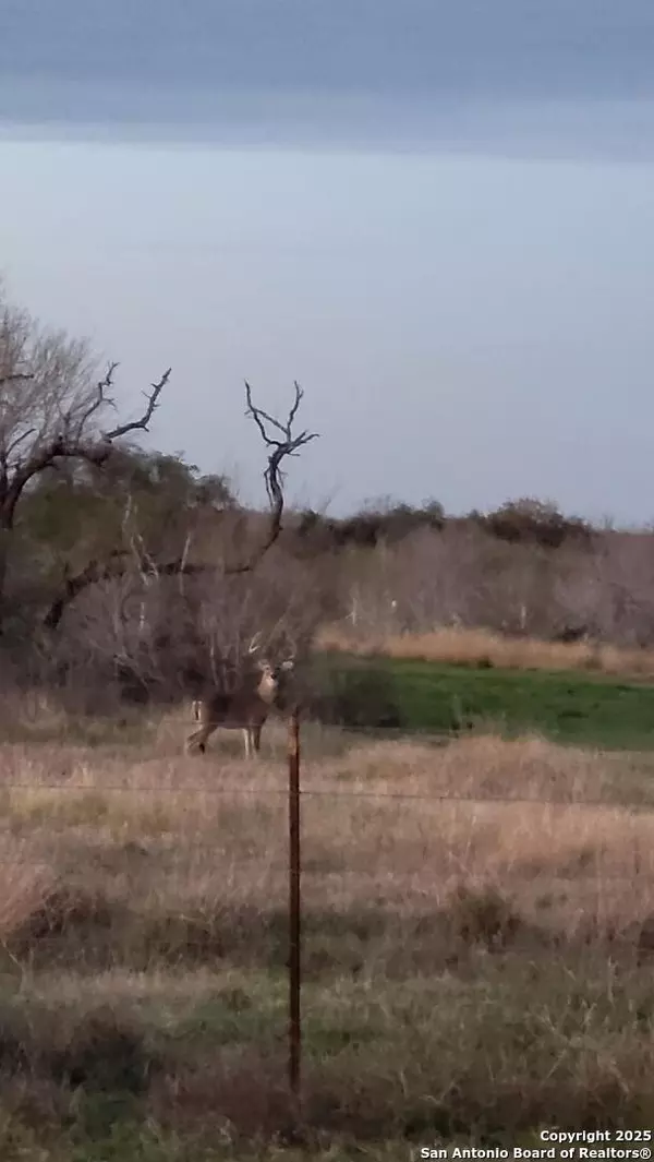 Tilden, TX 78072,985 Franklin Ranch Road