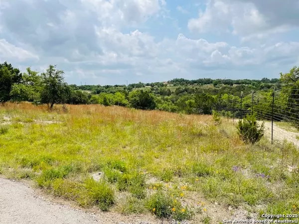 Spring Branch, TX 78070,291 Stargrass