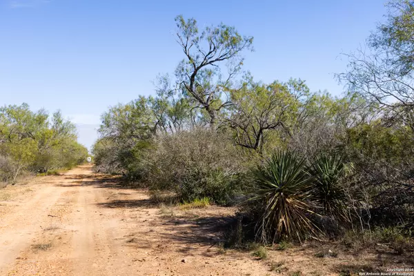 Pearsall, TX 78061,10 FM 1581