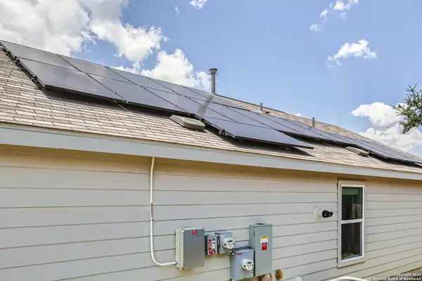 Bulverde, TX 78163,5343 Forbs