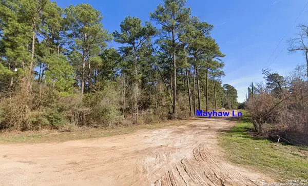 LOT 16 Mayhaw Ln, Plantersville, TX 77363