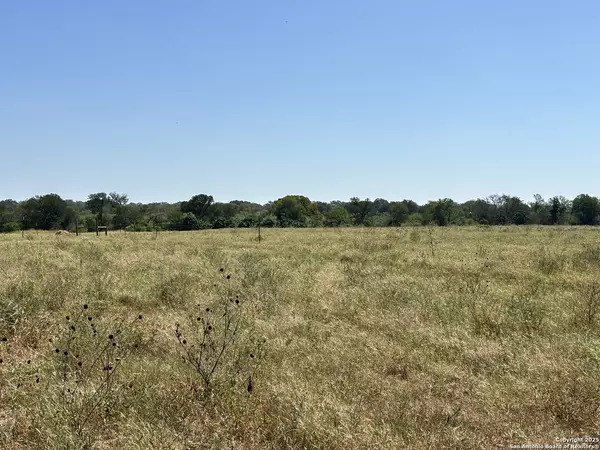 Devine, TX 78016,1205 Highway 173