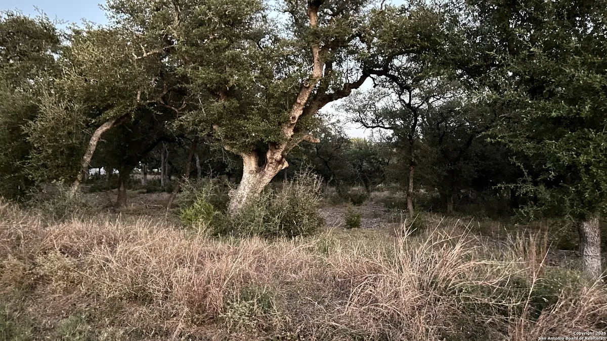 Bulverde, TX 78163,1025 Earle Oak