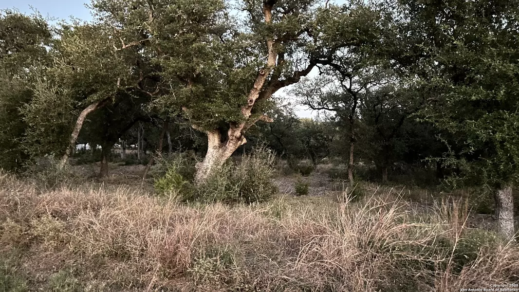 1025 Earle Oak, Bulverde, TX 78163