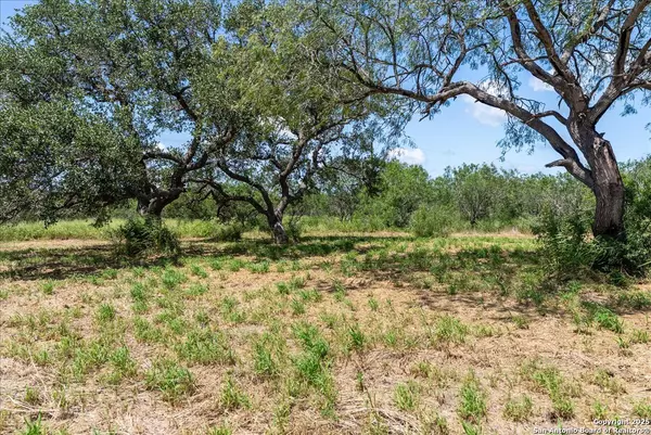 Skidmore, TX 78389,000 Off Hwy 181 S