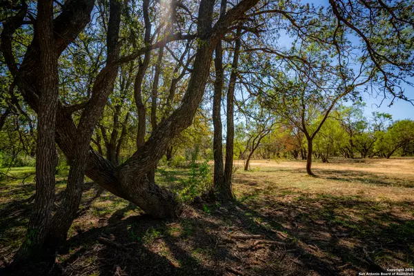 San Saba, TX 76877,0 SH 16