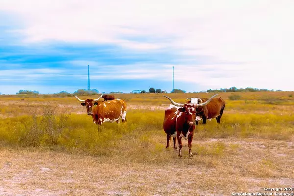 Karnes City, 78118,2741 FM 2924