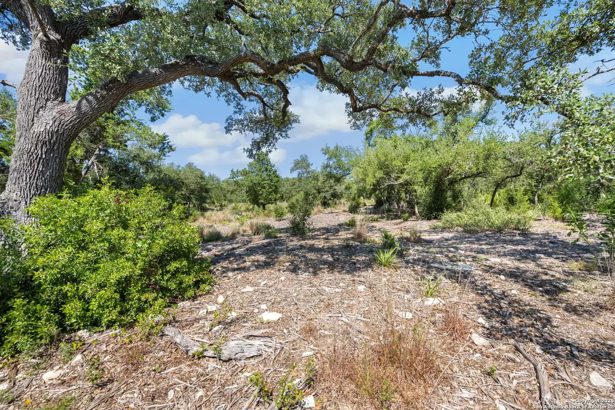 Bulverde, TX 78163,840 Earle Oak