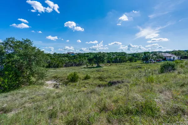 Canyon Lake, TX 78133,517 Cielo