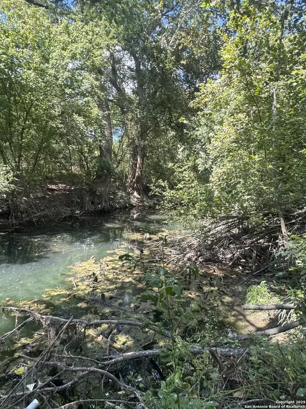 New Braunfels, TX 78130,420 CANAL