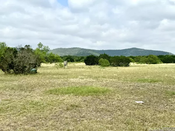 Concan, TX 78838,TBD Bent River RD