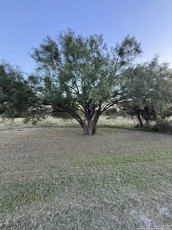 Camp Wood, TX 78833,2 Cardinal Drive