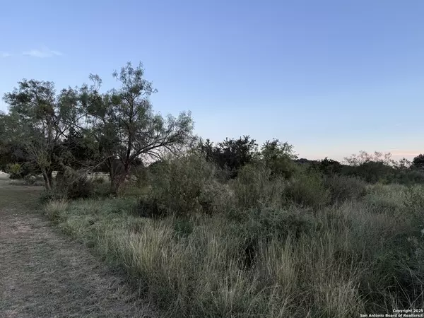 Camp Wood, TX 78833,2 Cardinal Drive