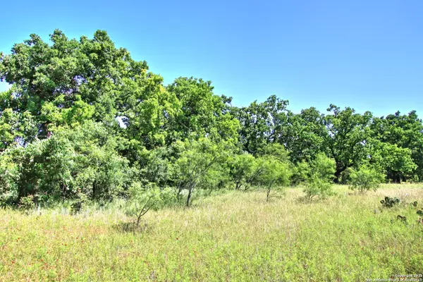 Willow City, TX 78675,LOT 5 RM 1323