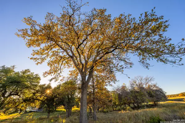 Fredericksburg, TX 78624,326 Lehne Ln