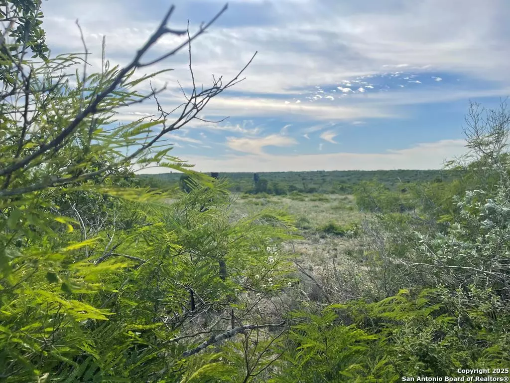 George West, 78022,197 Live Oak Spur