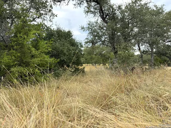 Blanco, TX 78606,127 NT Journey