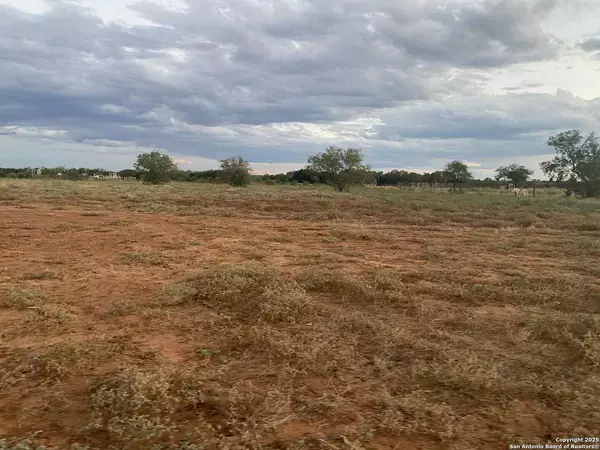 Big Wells, TX 78830,135 FM 468 FM 468