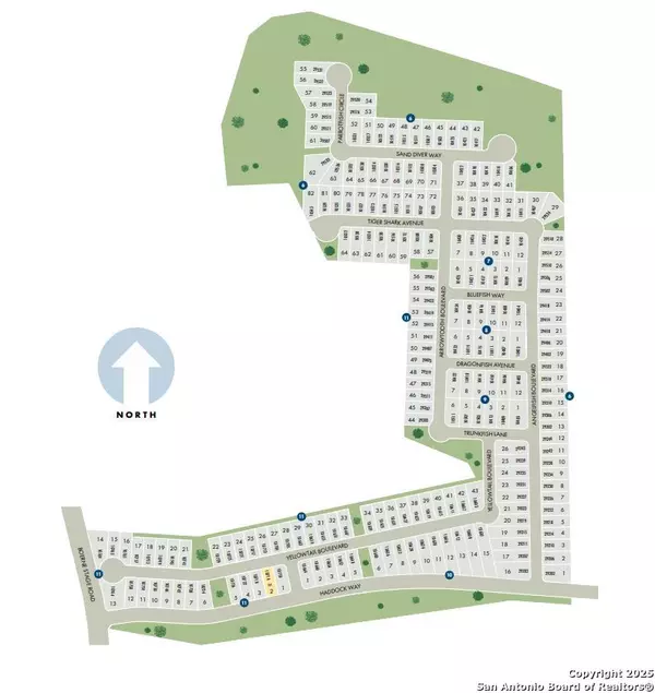 Boerne, TX 78006,29503 Arrowtooth Blvd
