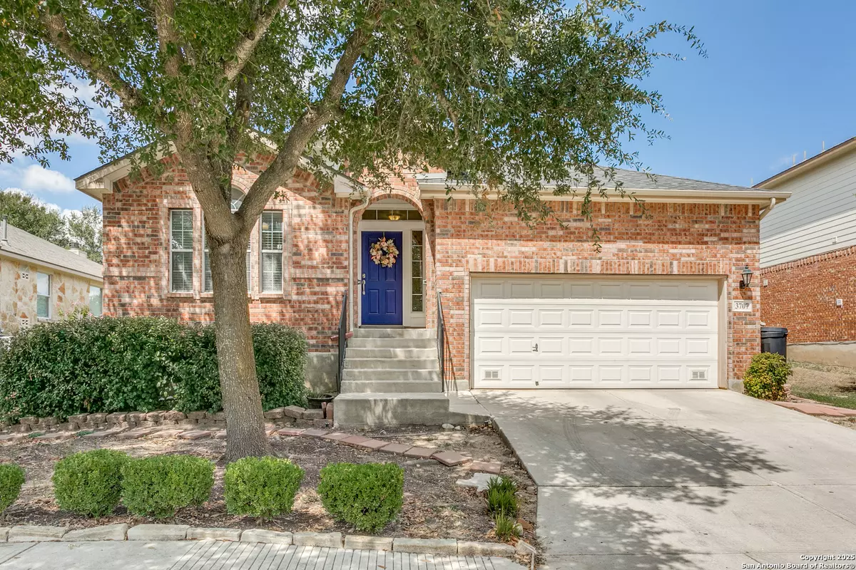 San Antonio, TX 78261,3707 Ajuga