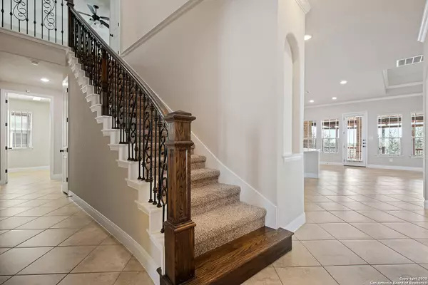 San Antonio, TX 78261,25714 Berberis