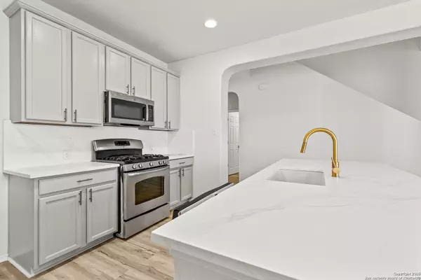 San Antonio, TX 78261,25807 Beautyberry