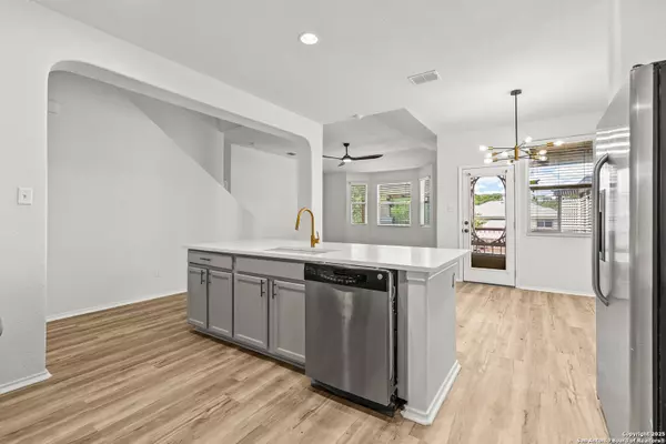 San Antonio, TX 78261,25807 Beautyberry