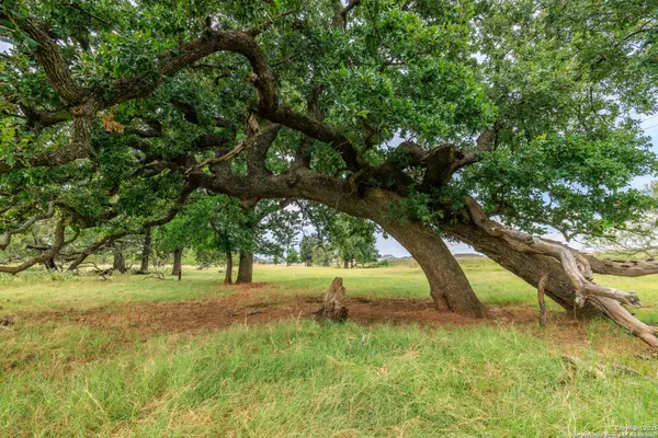 Fredericksburg, TX 78624,1080 Eagle Street