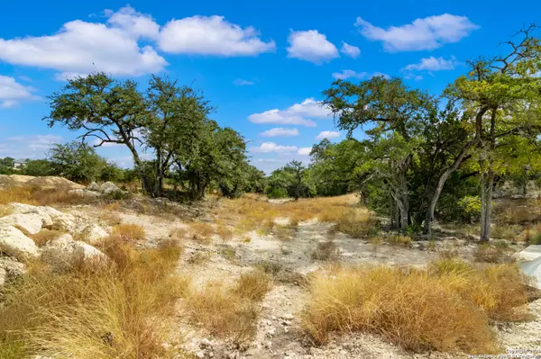 Boerne, TX 78006,25722 Eden Point