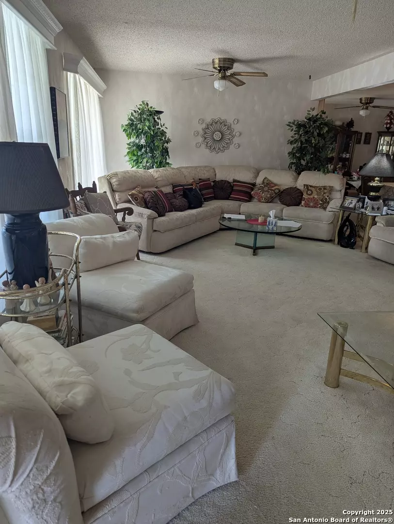 San Antonio, TX 78223,359 Kate Schenck