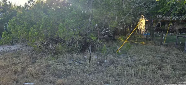 Spring Branch, TX 78070,203 Palm