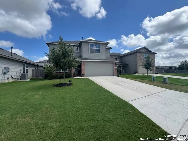 San Antonio, TX 78253,222 Grey Woodpecker