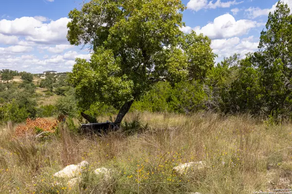 San Antonio, TX 78255,11317 Sloanes Ridge