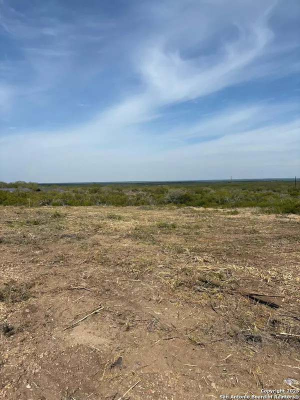 Moore, TX 78057,3272 county road 1515
