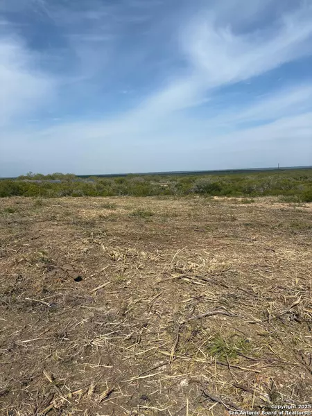 3272 county road 1515, Moore, TX 78057