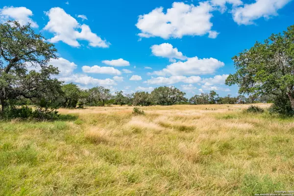 Rocksprings, TX 78880,12995 hackberry