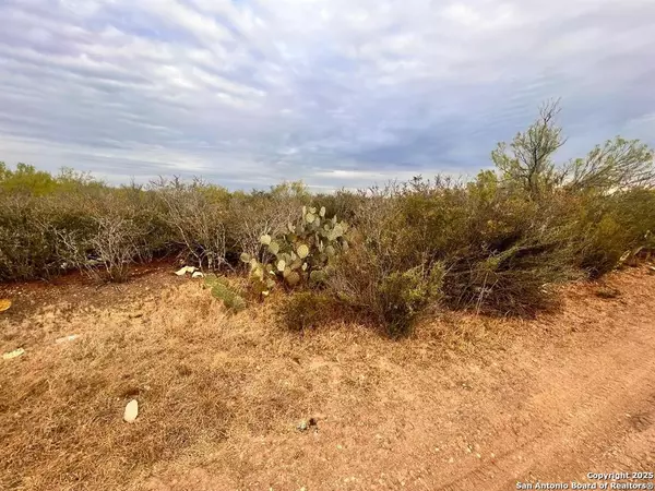 Laredo, TX 78043,TRACT 17 Las Pilas Rd