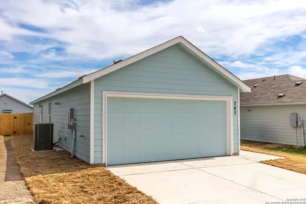 New Braunfels, TX 78132,787 Bullsnake