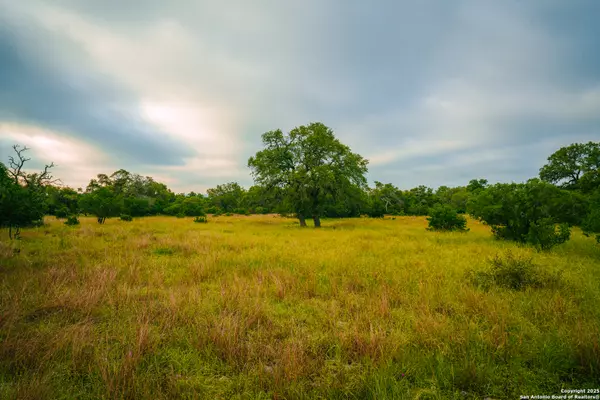 Spring Branch, TX 78070,000 Lone Oak Hollow