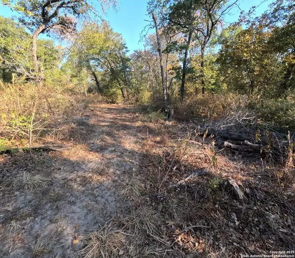 Seguin, TX 78155,1545 Nockenut