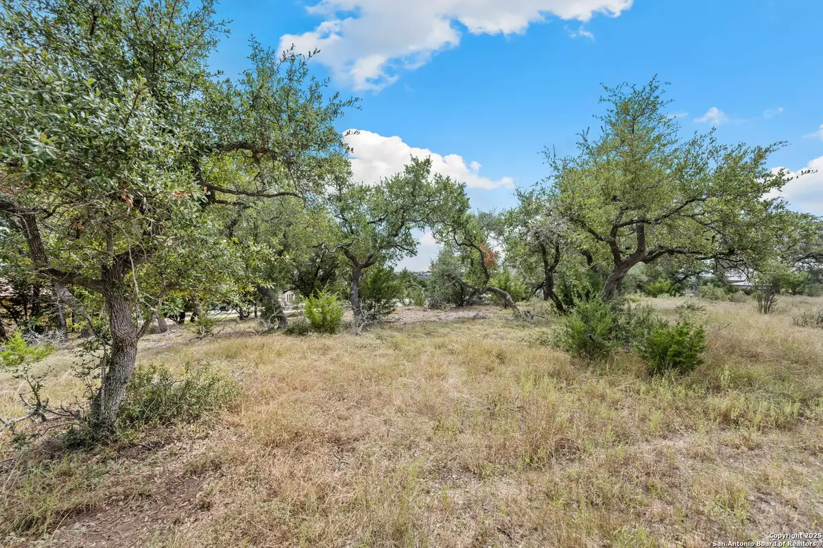 New Braunfels, TX 78132,1230 Alsace